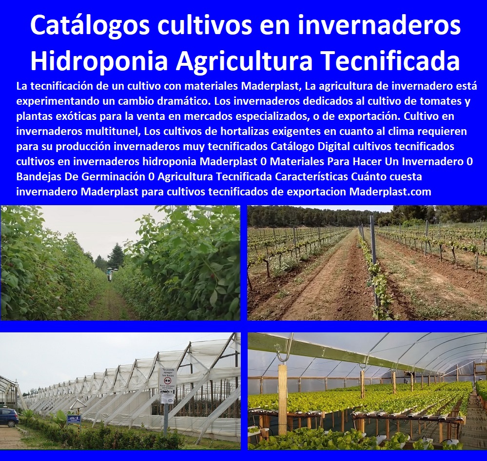 Catálogo 40 Cultivos Tecnificados Invernaderos Hidroponía Maderplast 0  Cultivo De Flores En Invernadero 0 Invernaderos Hidropónicos 0 Cultivos En Invernaderos En Colombia 0 Invernaderos De Hortalizas 0 Estructuras De Hidroponía 0  Catálogo 40 Cultivos Tecnificados Invernaderos Hidroponía Maderplast 0  Cultivo De Flores En Invernadero 0 Invernaderos Hidropónicos 0 Cultivos En Invernaderos En Colombia 0 Invernaderos De Hortalizas 0 Estructuras De Hidroponía 0 